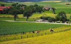 Podsticaji u poljoprivredi Podsticaji u poljoprivredi