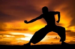 Otvaranje škole borilačkih veština i vođenje knjigovodstva