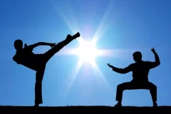 Otvaranje škole borilačkih veština i vođenje knjigovodstva