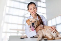 Registracija i proces otvaranja veterinarske apoteke