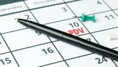 Rok za korišćenje prethodnog poreza