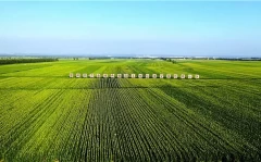 Podsticaji u poljoprivredi Podsticaji u poljoprivredi