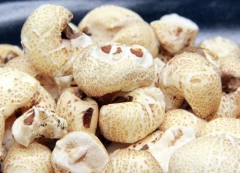 Šta je potrebno za pokretanje prodaje kokica i vođenje knjigovodstva